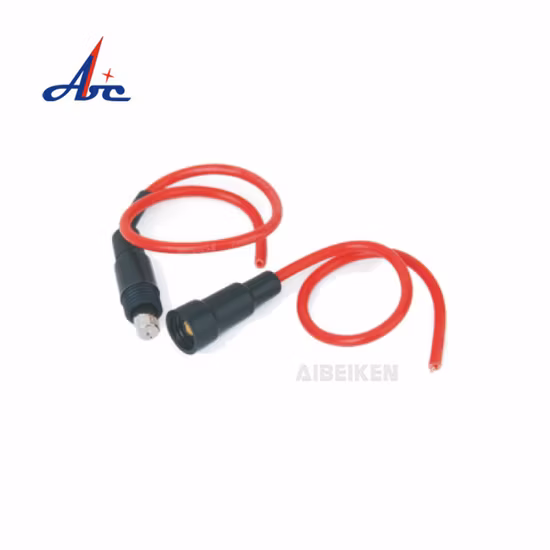 Auto Car Round Glass Tube Tubing Inline Fuse Holder