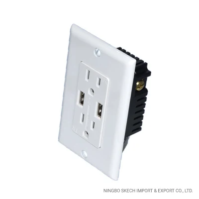 Wall Plate Socket USB Charger with Dual USB Type